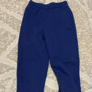 Aritzia women’s Navy Joggers